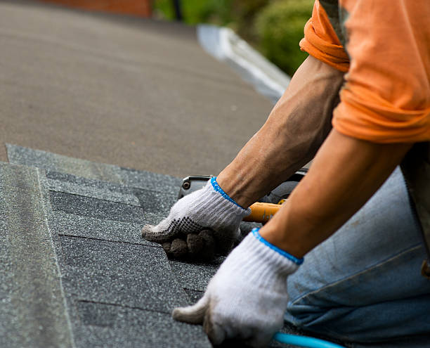 Professional Roofing Contractor in West Hammond, NM