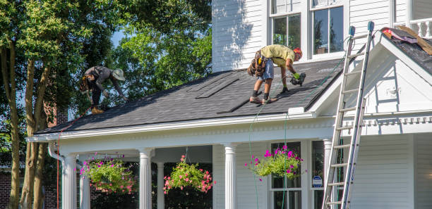 Best Storm Damage Roof Repair  in West Hammond, NM